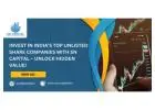 Invest in India’s Top Unlisted Share Companies with SN Capital – Unlock Hidden Value!