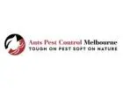 Ant Removal Melbourne