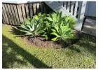 Best Gardener in Hendra