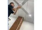 Best Residential Electrician in Edithvale