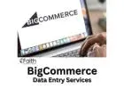 BigCommerce Product Data Entry for Enhanced Store Efficiency