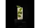 Rum Cocktail Recipes | Cocktail Connoisseurs