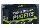 MAKE MONEY WITH THE PUBLIC DOMAIN