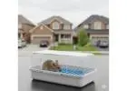 Effective Mice Control Brampton by Vanquish Pest Control