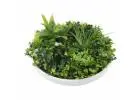 Transform Your Space with Eco-Friendly Artificial Plants