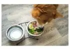 Best dog food to stop itching at home