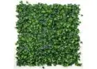 Install Stunning Green Wall Panels for a Photogenic Background