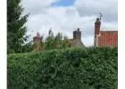 Best Hedge Trimming service in Newark-on-Trent