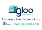 Igloo Insurance LLC