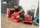 Professional Flooded Carpet Drying Melbourne Services