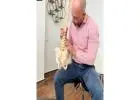 Best Sciatica treatment in Brentwood