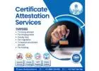 Reliable and Fast Attestation Services for All Your Document Needs