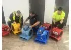 Carpet Flood Removal Service