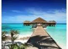 Best Luxury Travel service in Bennetts End