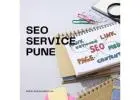 Seo expert pune