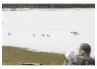 Guided Goose Hunt Colorado - Birds and Bucks Outdoors
