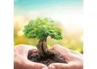 Trusted Environmental Consultants