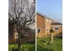 Best service for Tree Removals in East Moor