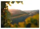 Stay in the Heart of Wine Country at Paso Robles Inn