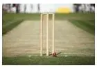 High-Performance Cricket Turf by OSMSTURF