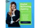 Digital Marketing Agency in Noida