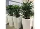 Transform venues with event plant hire melbourne