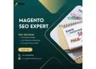 Affordable Magento SEO Expert Services in USA – Gtechwebindia