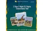 Kenya Mountain Climbing Adventures – Kilimanjaro & Mount Kenya Treks