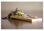 Best Rodent Control service in Halekulani