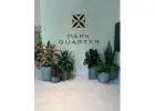 Bring Life to Your Office with Indoor Plant Hire Services