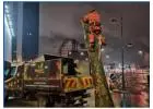 Best Tree Removal service in Hucknall