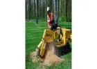 Best Stump Grinding service in Lugarno