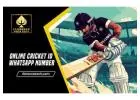 : Online Cricket ID—Play in Seconds, Win Every Day Sign Up Now
