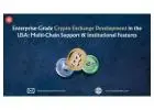 Enterprise-Grade Crypto Exchange Development in the USA: Multi-Chain Support & Institutional Feature