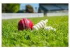 Get Your Online Cricket ID Instantly – Onlinecricketid99