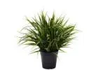 Brighten Up Your Space with Stunning Plant Walls