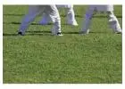 Top Cricket Turf Manufacturer – Get Custom Solutions Today