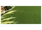 Looking for the Best Wholesale Artificial Turf?