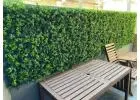 Create a Privacy Screen with Stunning Fake Living Wall