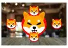 Read Analyst’s Views for Shiba inu Coin Price Prediction