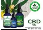 Embrace Natural Wellness and Everyday Calm with CBD Oil