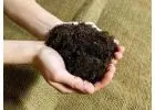 Best Fine grade bark mulch in Newtownallen