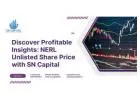 Discover Profitable Insights: NERL Unlisted Share Price with SN Capital