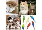 Adorable Puppies for Sale in Meerut– Call Now to Book Your Furry Companion!