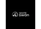 Timer Gas Stove in india - whiteswan