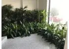 Stylish Event Plant Hire for Weddings, Parties & Corporate Functions