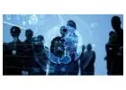 IT Infrastructure and Networking Solutions in UAE