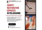 Expert Carpet Restoration Services in Melbourne – Redcarpetreatment