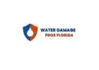 Water Damage Pros FL