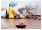 Best Cockroach Control Service in Jerrabomberra